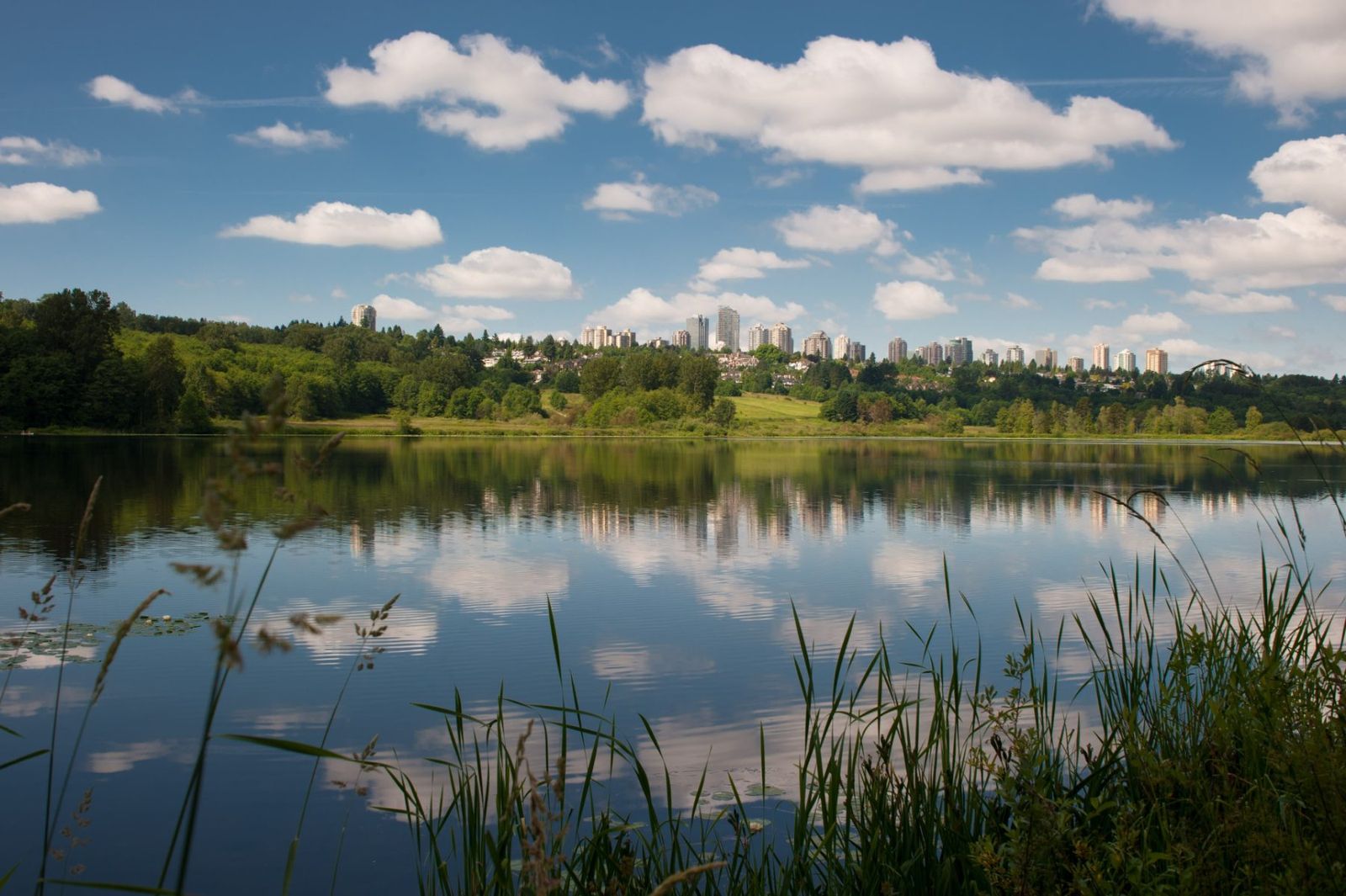Deer Lake on a summer morning, with reeds, trees and the Burnaby skyline reflected in the water